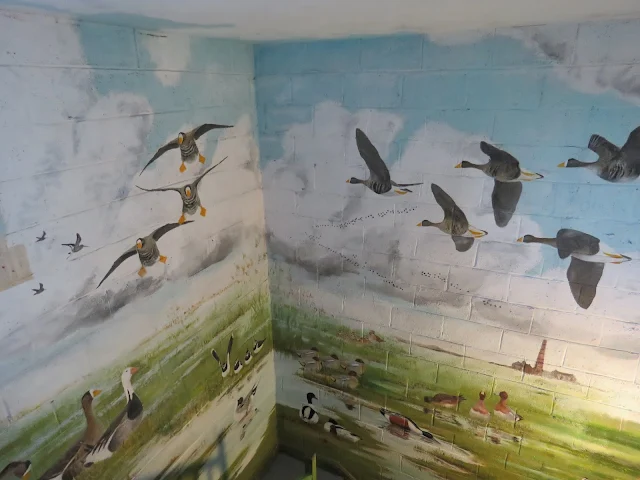 Painting on the wall of the stairwell of the observation tower at the Wexford Wildfowl Reserve