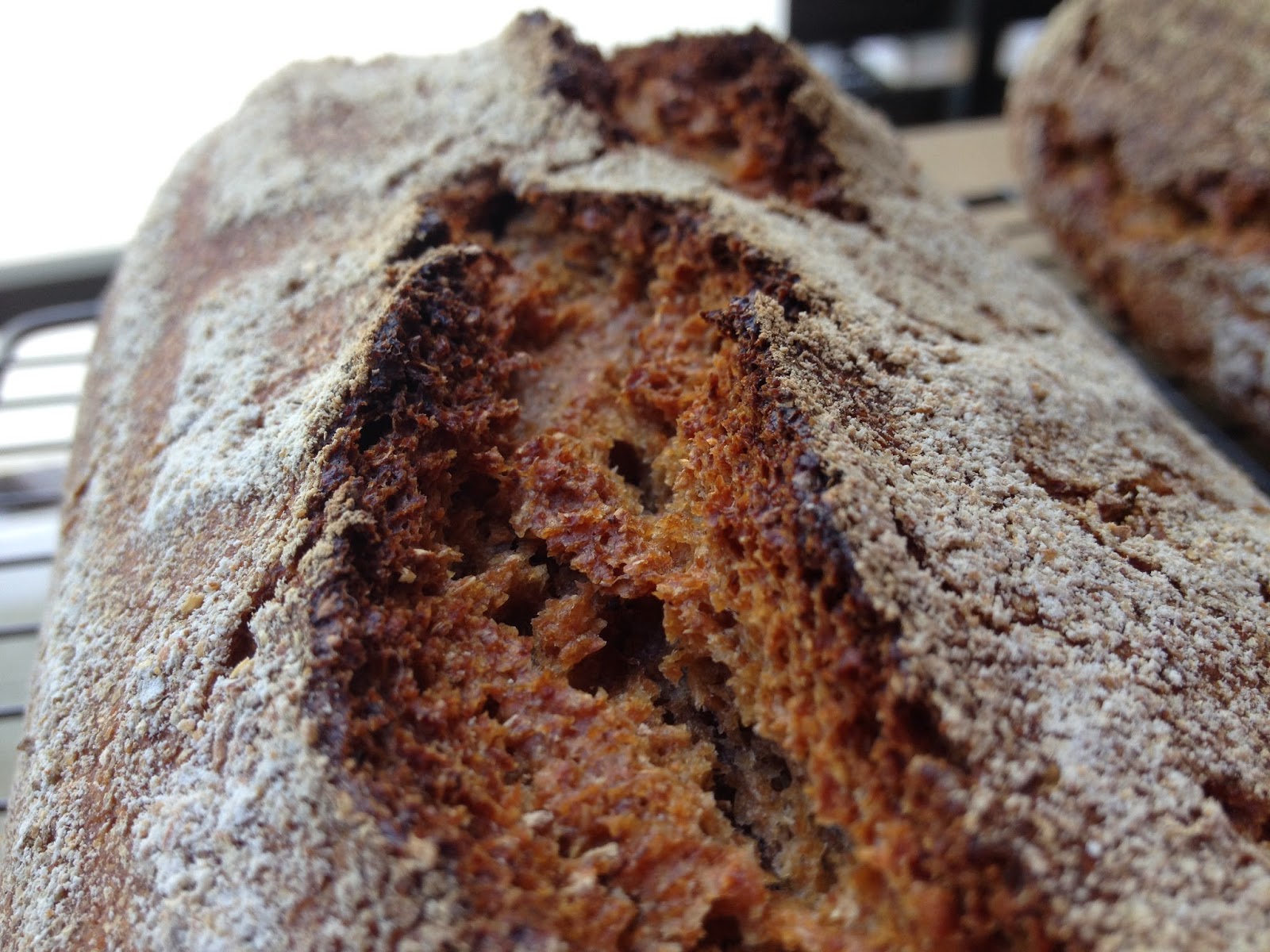 pan Vollkornmischbrot (centeno/trigo) al estilo Franz J. Steffen - La ...