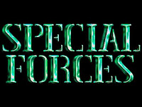 https://collectionchamber.blogspot.co.uk/2017/11/special-forces.html