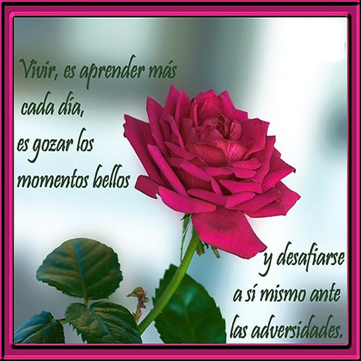Vivir, es aprender más cada día. - Frases de vida y reflexión