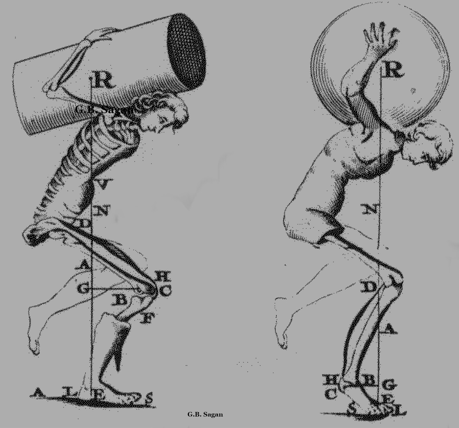 Первый биомеханик. Биомеханические процессы организма. Первый биомеханик. Первый биомеханик. Правила биомеханики.