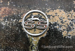 Weathered paint around the SS emblem is a thing of beauty.