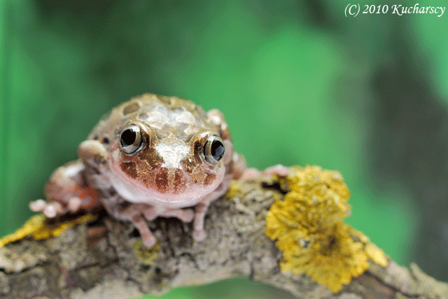 Dziś wieczorem! ~ Śmieszne Obrazki i Gify