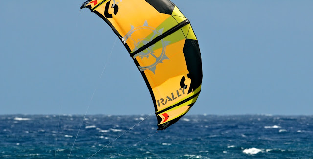 2014 Rally Kite