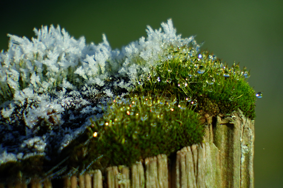 Burgerportal Bergisch Gladbach Nachrichten Hintergrunde Termine