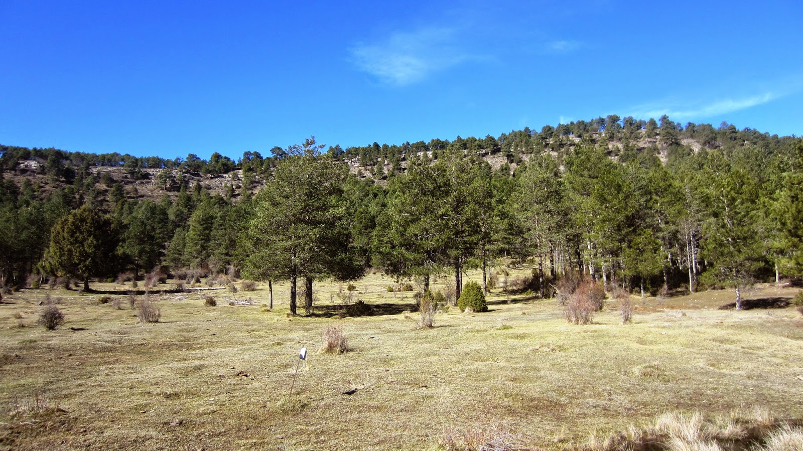 Peña del Acebo (IV)