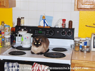 Yum Yum on the stove. photo taken September 2010 