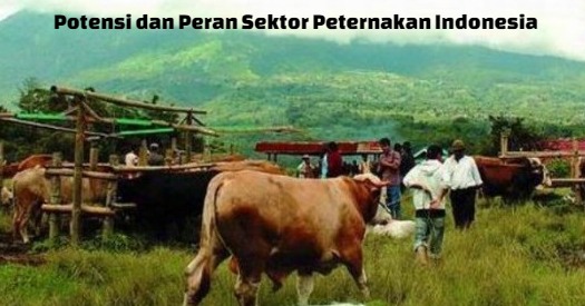Kumpulan Soal Dan Materi Smk Potensi Dan Peran Sektor Peternakan Materi Agribisnis