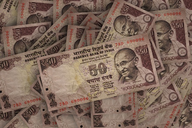  Money Indian Economy