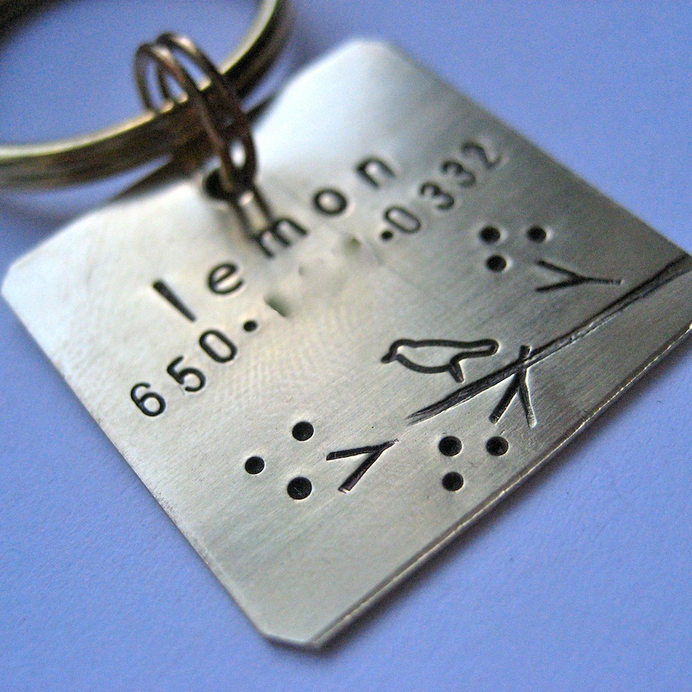 Bird In Everything Bird Tag Identification