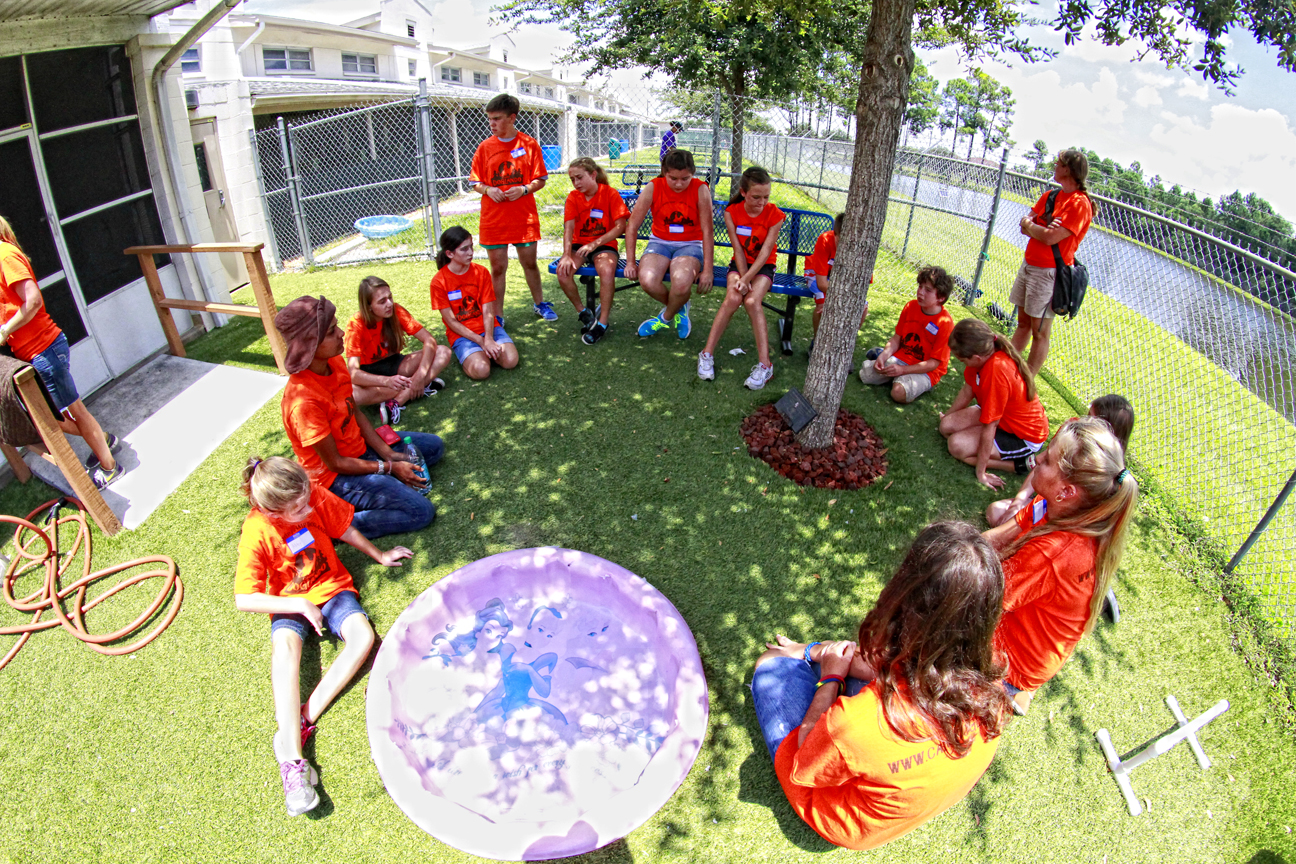 The Doglando Blog Orlando Dog Grooming Orlando Dog Training Dog