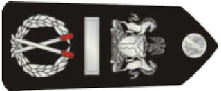 nigerian-police-rank-insignia