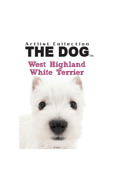 THE DOG West Highland White Terrier