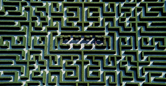 Blueiskewl The Shining 1980