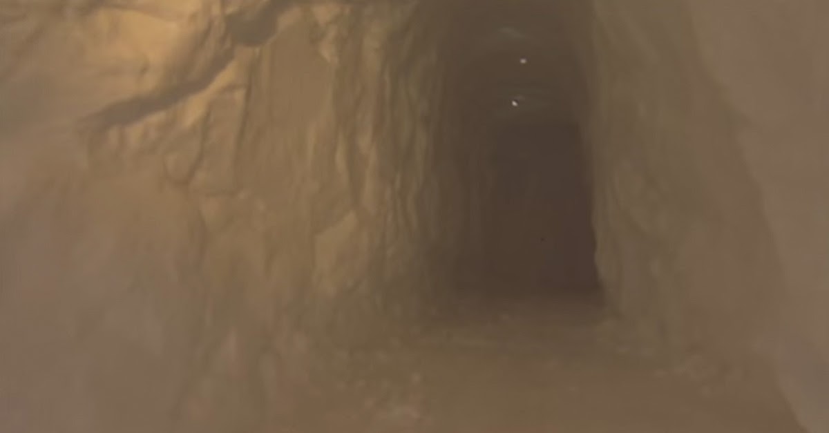 He Built A Tunnel Through The Snow. Where It Ends? BRILLIANT! Snow