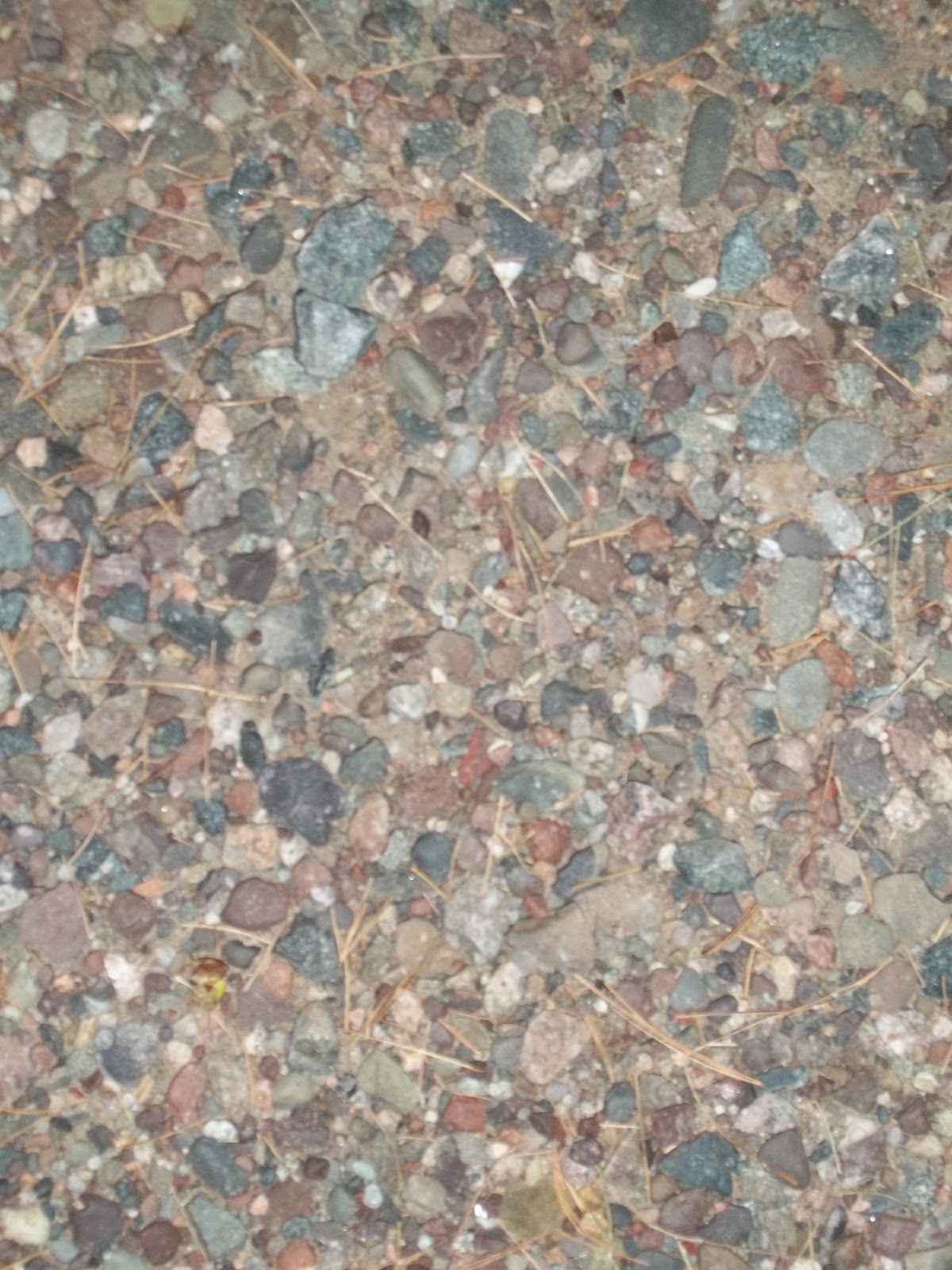 Paige's Photography: Textures