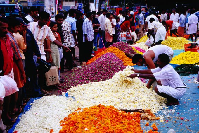 Onam Images