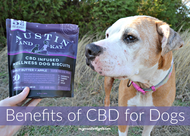 Austin & Kat CBD Infused Dog Biscuits | What Are the Benefits of CBD ...