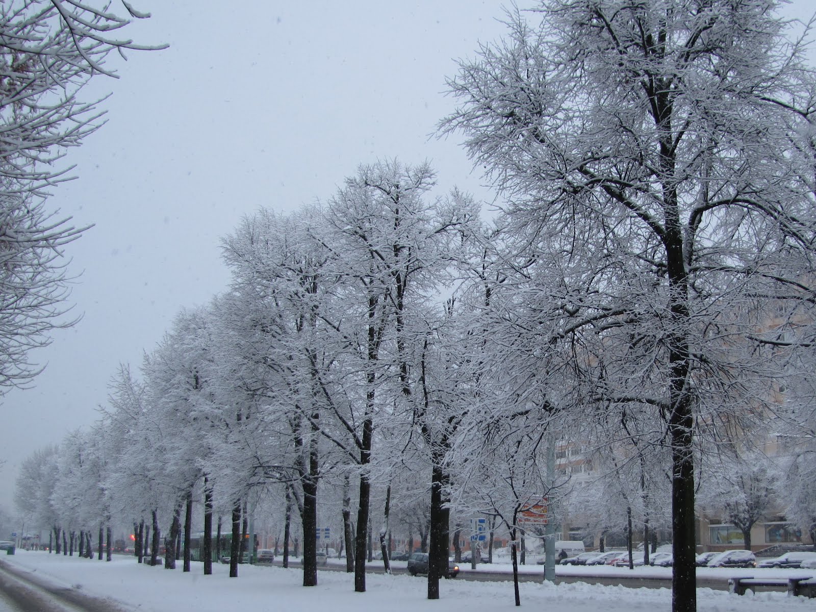 Погода Газета Заря