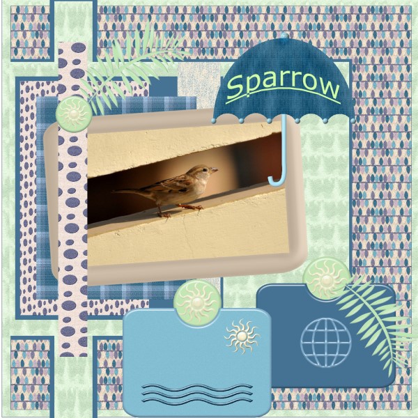 April 2016 Sparrow