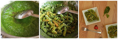 spinach pasta recipe7