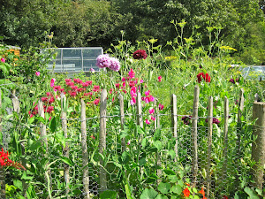 The Allotment