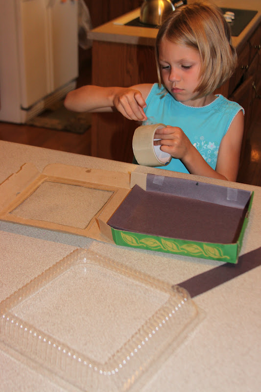 Kara's Creative Place: Pizza Box Solar Cooker