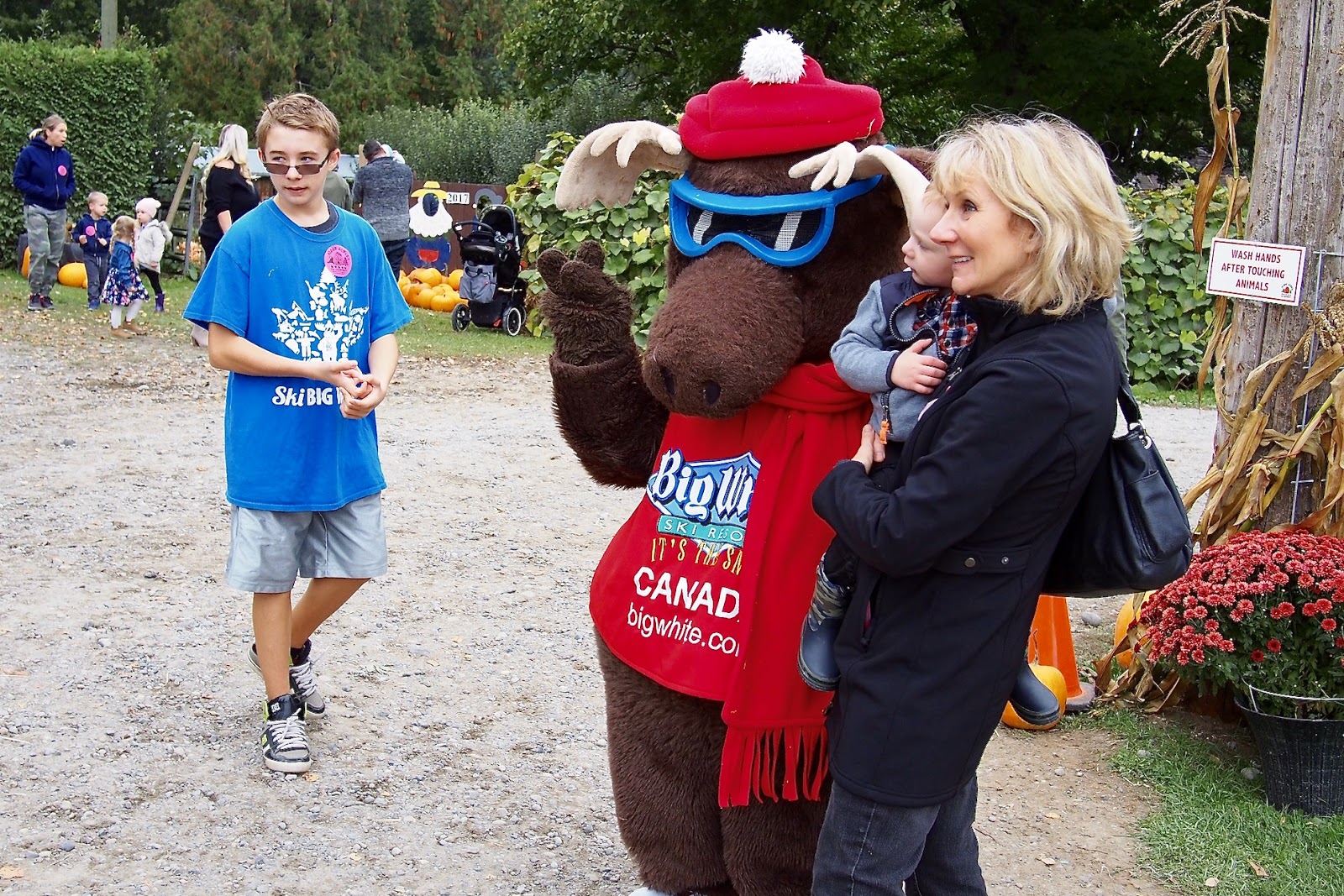 Aldor Acres Family Farm/ Pumpkin Patch Langley