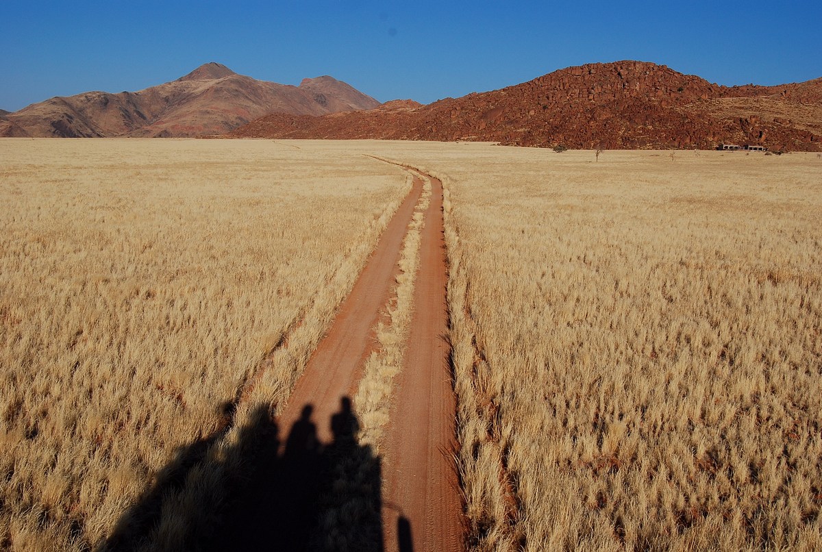 la savane dorée du Namib