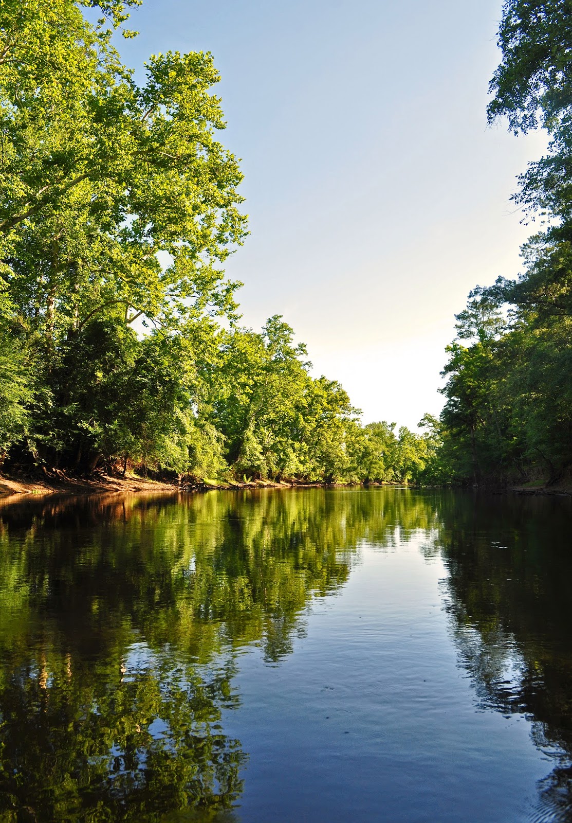A Tidewater Paddler Nottoway River 7/6/14