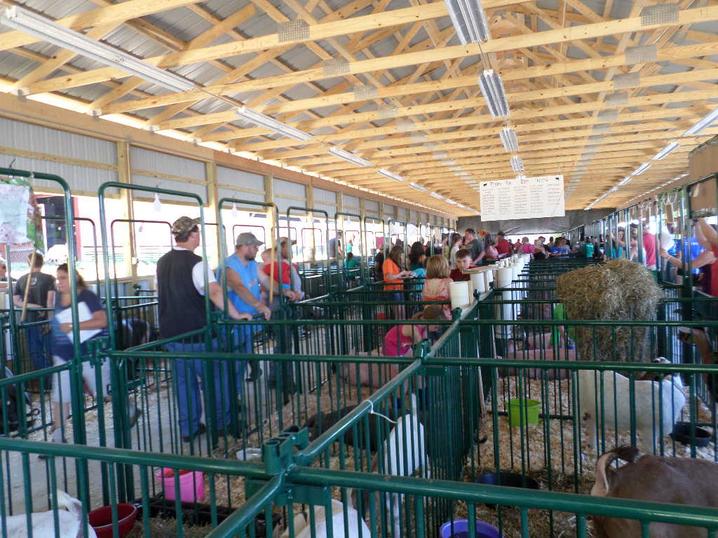 Schick Fun Ideas: Venango County Fair 2015