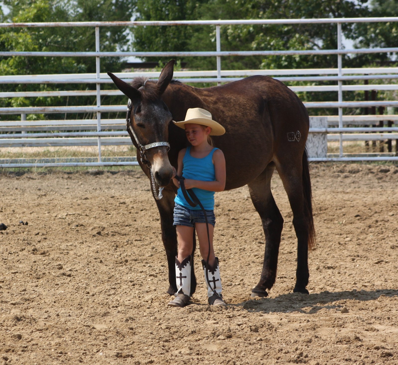 PairADice Mules Camri's First Halter Class