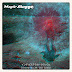 Magic Shoppe - Interstellar Car Crash E​.​P.
