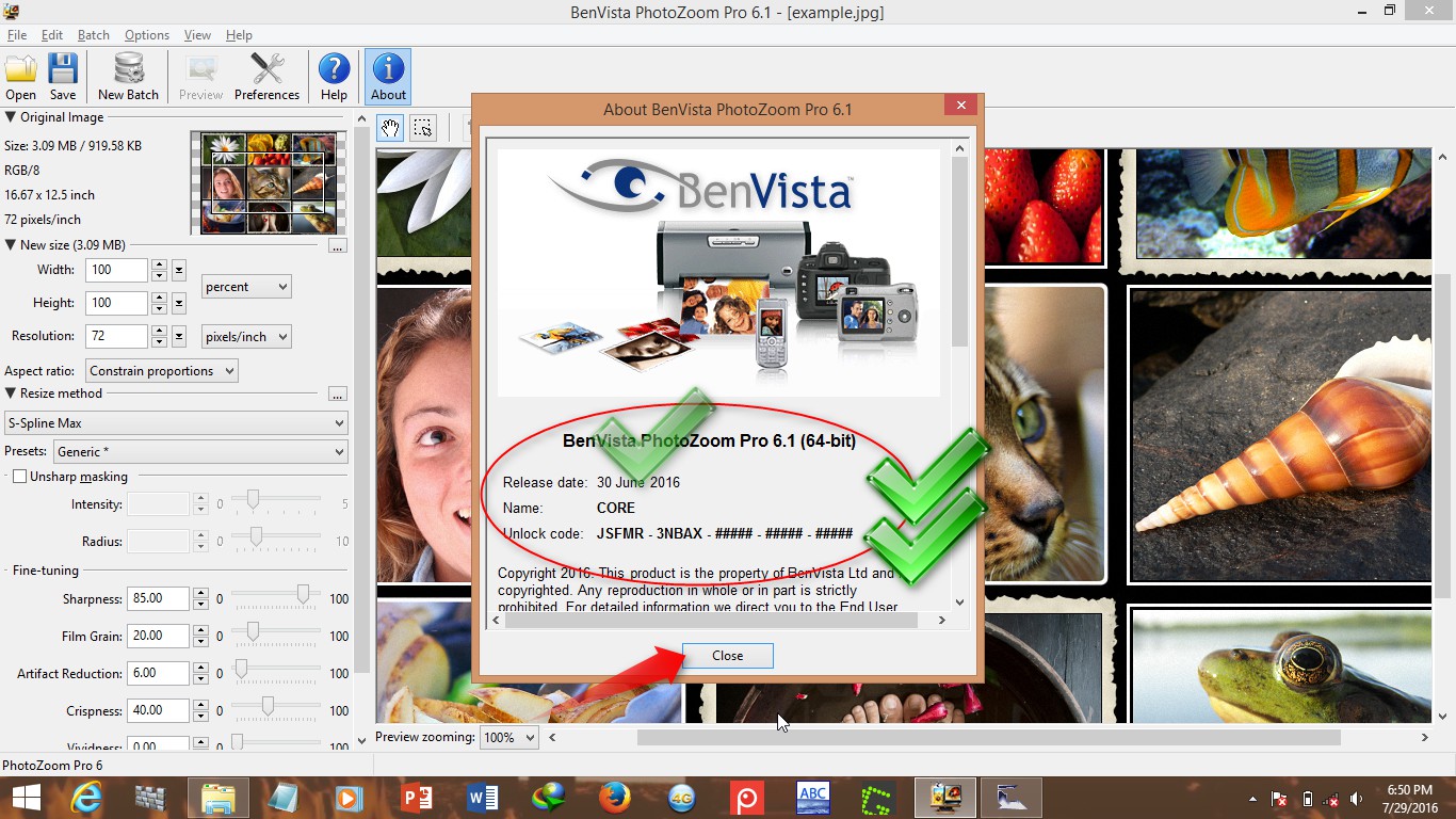 benvista photoartist 2 benvista photoartist 2