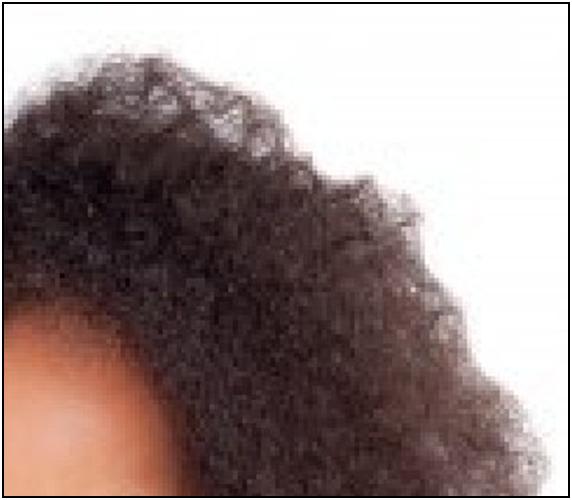 The Nice Lice Lady Comment of the Day Lice in AfricanAmerican Hair