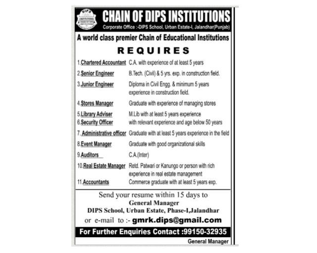 The Library Soup Library Advisor Vacancy, Chain of DIPS Institution