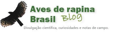 Blog Aves de rapina Brasil