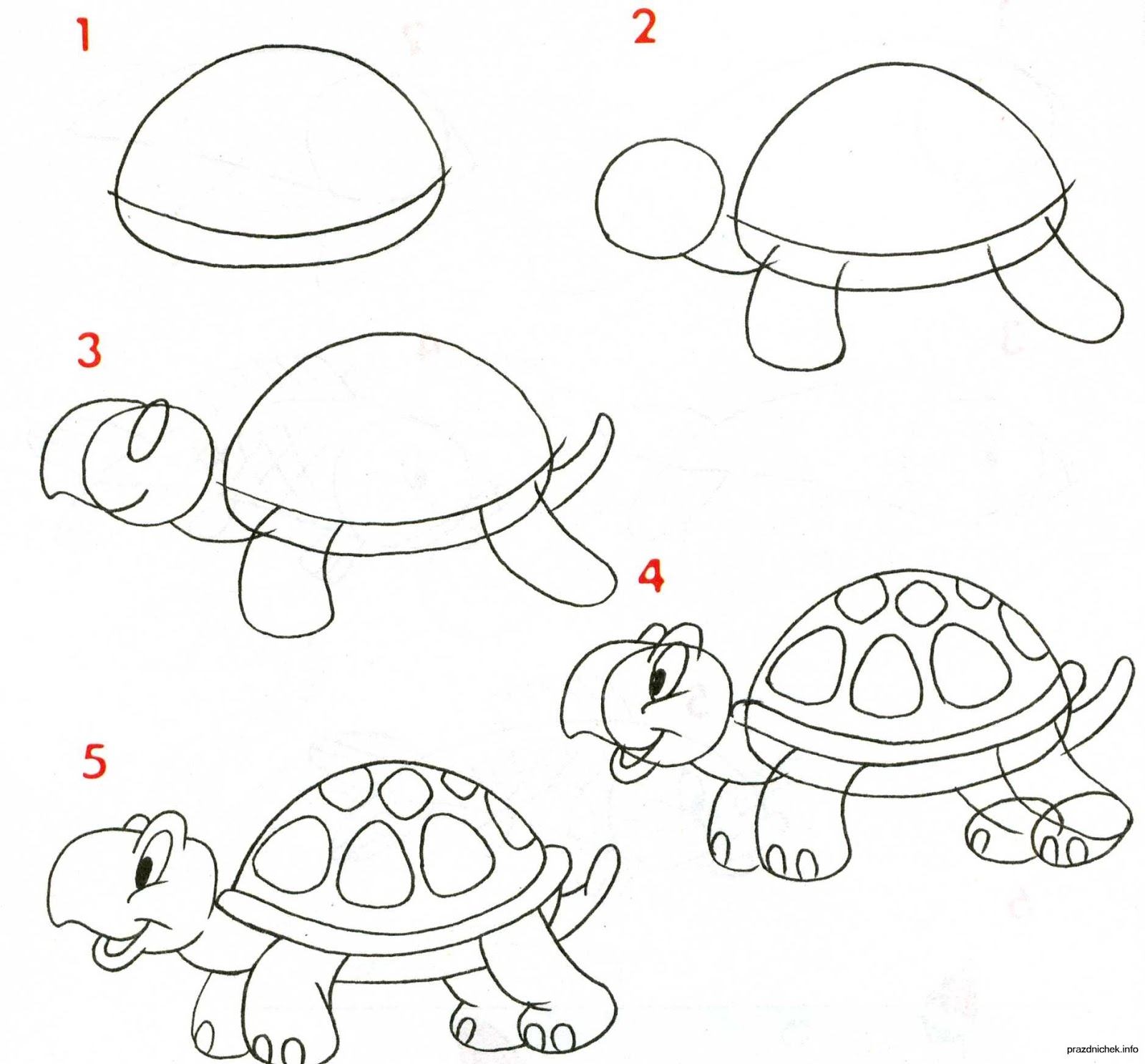 Рисуем пошагово. Поэтапное рисование для детей. Пошаговое рисование для дошкольников. Схемы рисования животных для детей. Поэтапное рисование черепахи.