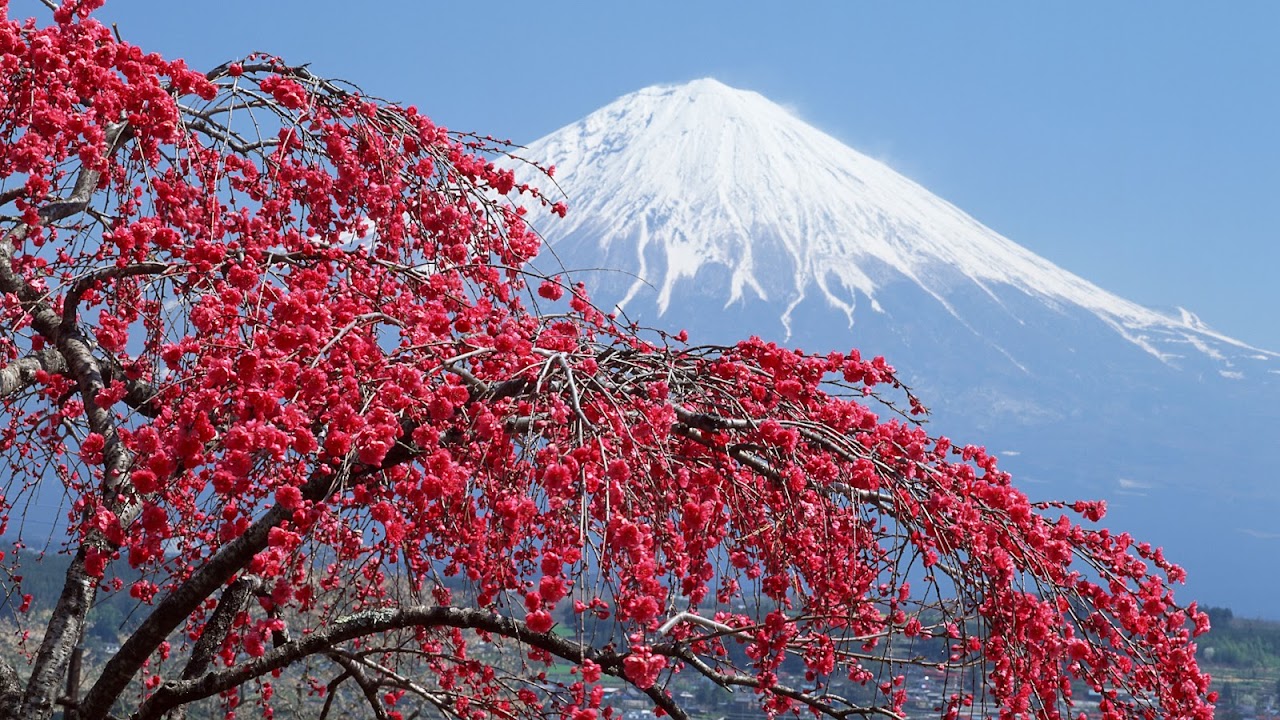 Fujiyama Wisata Pendakian Di Gunung Keabadian Travel Pelopor Paket Tour Wisata Halal Dunia