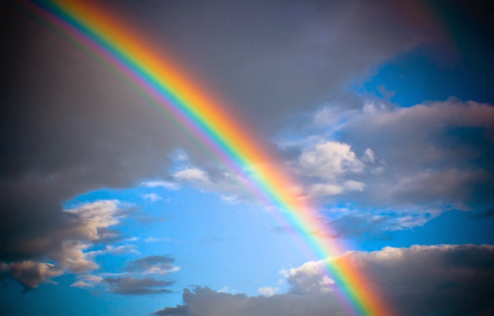 aquaplantarium: Spektrum Cahaya yang Dibutuhkan untuk Fotosintesis