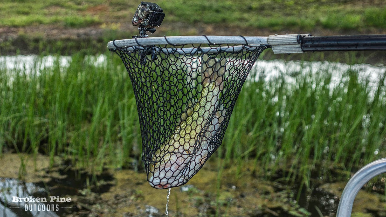Attach a GoPro to a Fishing Net Campbell Cameras Pro Staff