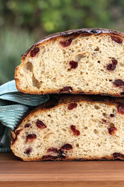 Cranberry Sourdough Country Bread