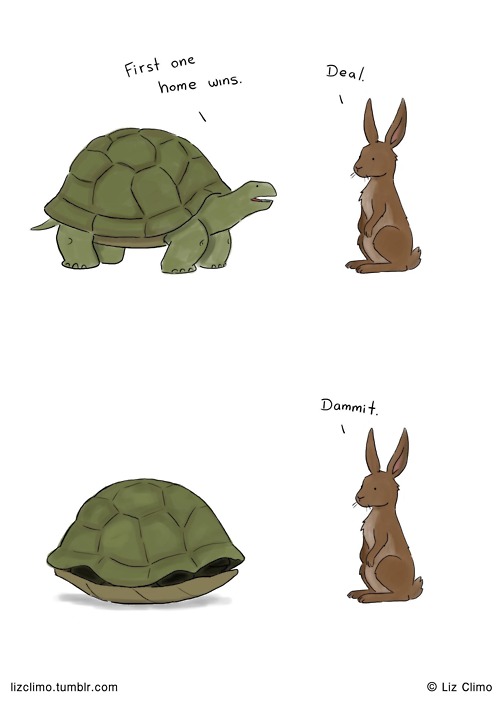 Turtle and rabbit
