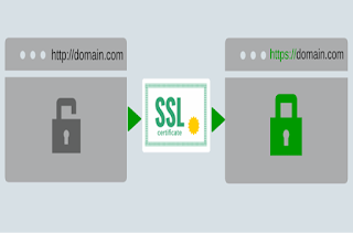 WordPress’e SSL ve HTTPS Nasıl Ekleriz.