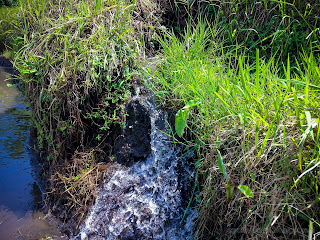 Terrace Farming Water Irrigation Flow Of The Rice Field At Ringdikit Village, North Bali, Indonesia