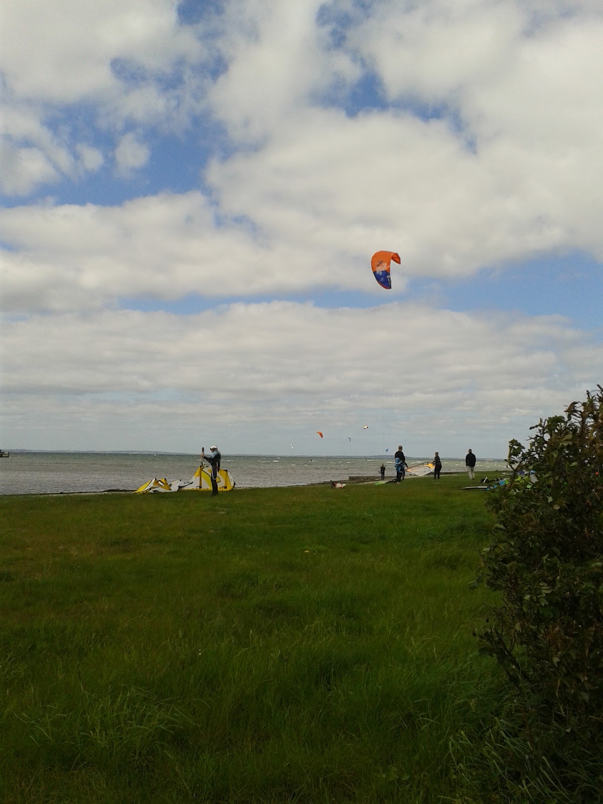 Pretty In Pink Pictures Mai 2013