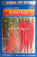 jual benih cabe santa 32,cabe santa 32,jual benih murah,benih cabe,budidaya cabe,lmga agro