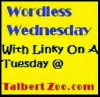 Talbert Zoo - Wordless Wednesday