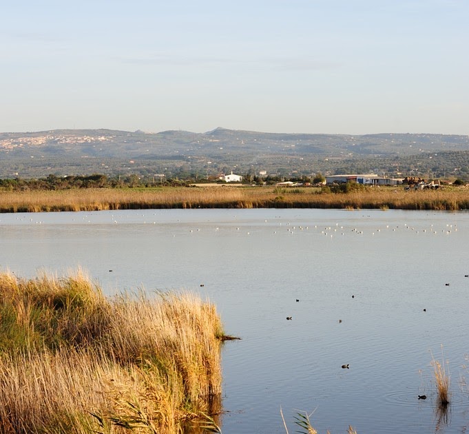 Sardegna 2.0 Stagno di Pilo Platamona Sardegna 2.0 Stagno di Pilo Platamona