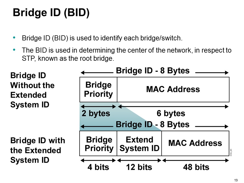 Networking And Scripting : Spanning Tree Protocol :PPT